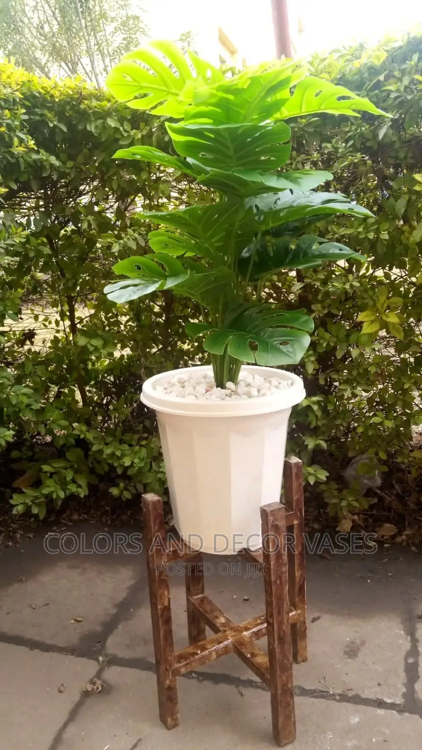 Plastic Vase, Wooden Stand and Plant