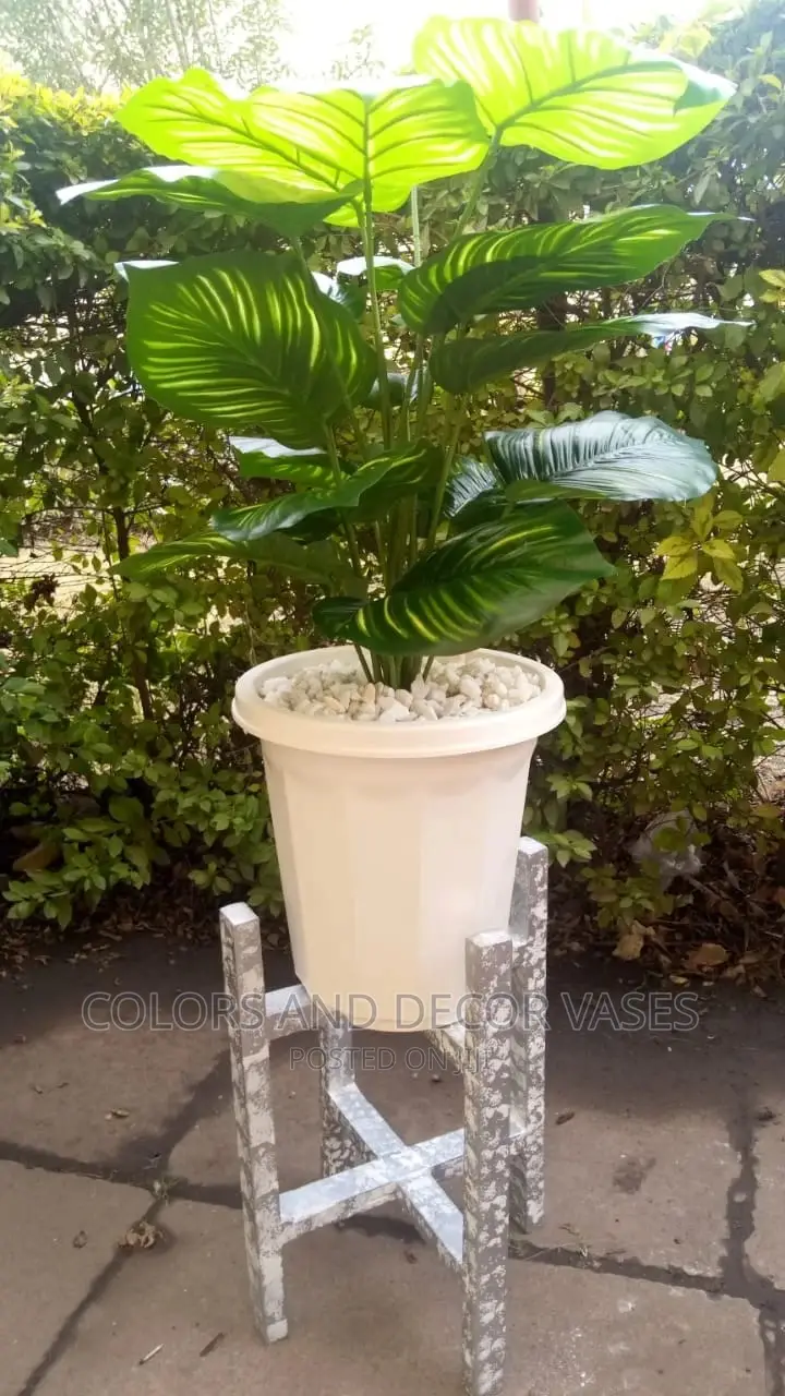 Plastic Vase, Wooden Stand and Plant