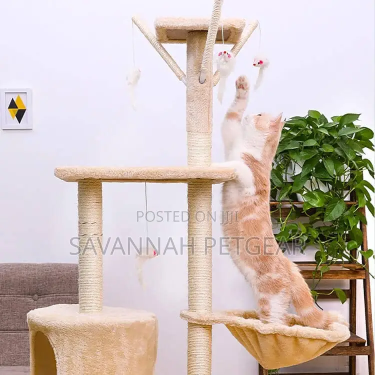 Hansi Cat Tree Condo With Toys, Hammock Ladder