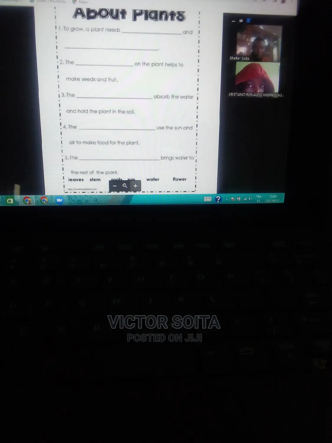 Online and Home Schooling Tuition