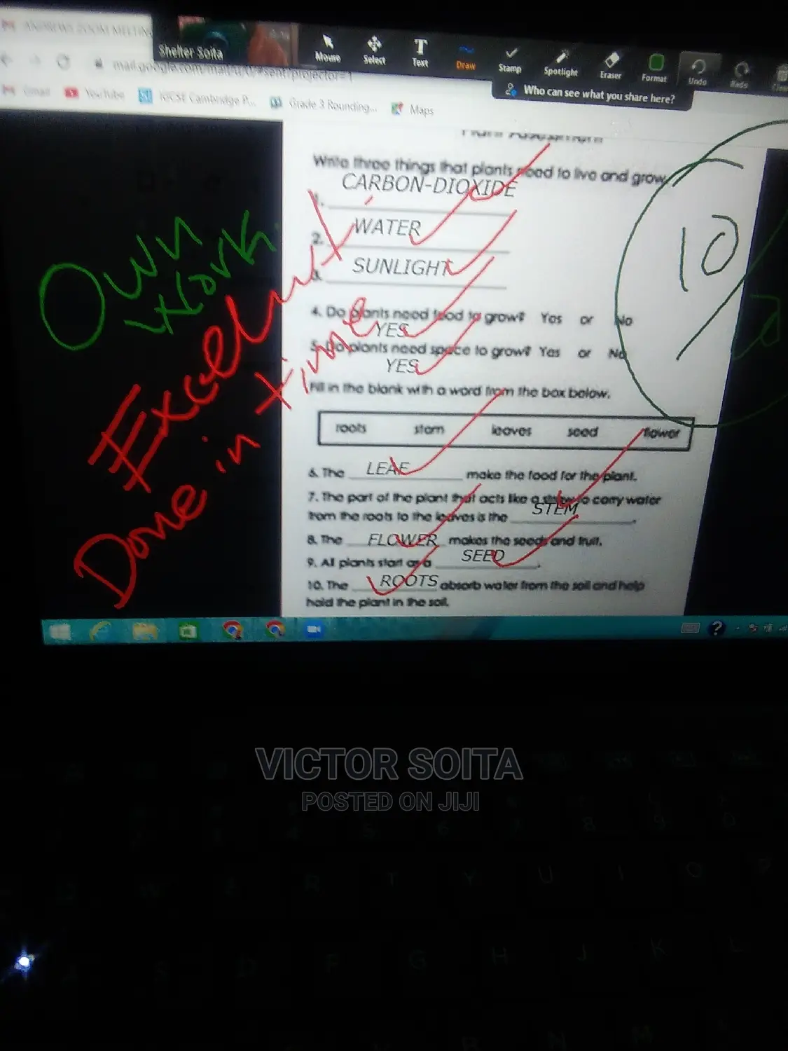 Online and Home Schooling Tuition