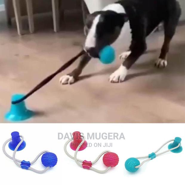 Dog Tug Pulling Fitness Bite Dog Fitness Toy