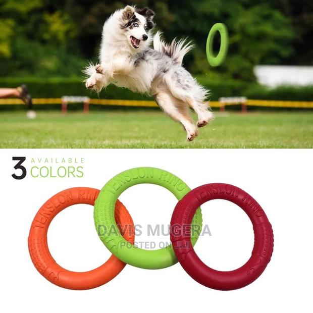 Tension Ring Frisbee Floating Dog Toy - main view