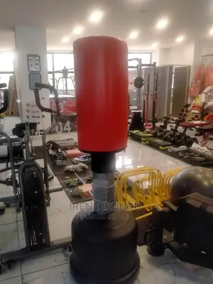 Punching Bag/Free Standing