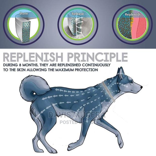 Flea and Tick Collar for Dogs 8 Months Protection - thumbnail 4