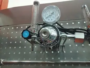 Co2 Gas Regulator