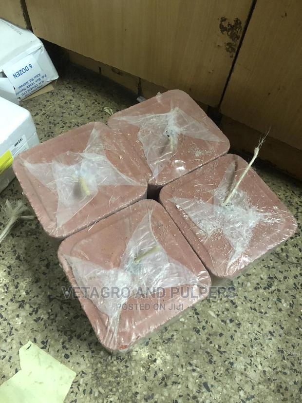 Animal Mineralized Salt Block - thumbnail 3