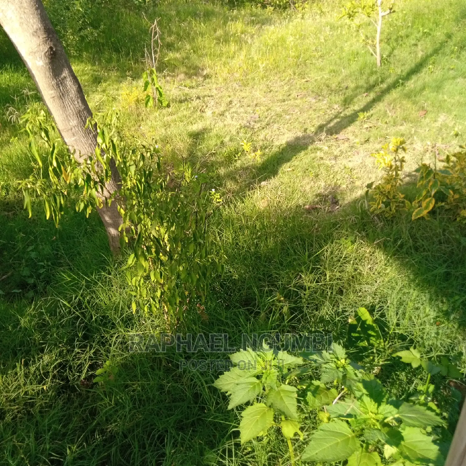 Four (4) Plots