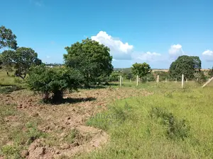 Dongo Kundu 50×100 Plots for Sale
