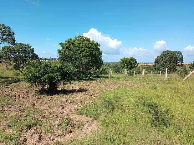 Dongo Kundu 50×100 Plots for Sale