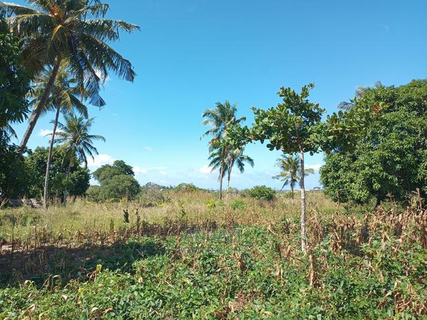 Dongo Kundu 50×100 Plots for Sale - thumbnail 6