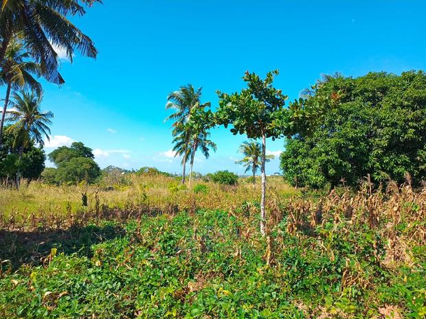 Dongo Kundu 50×100 Plots for Sale - thumbnail 7