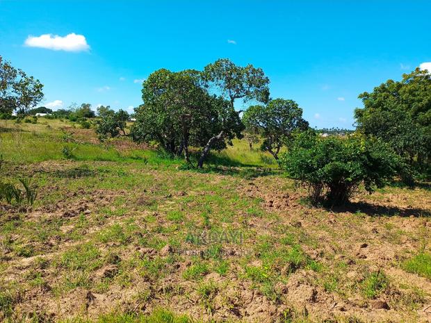 Dongo Kundu 50×100 Plots for Sale - thumbnail 8