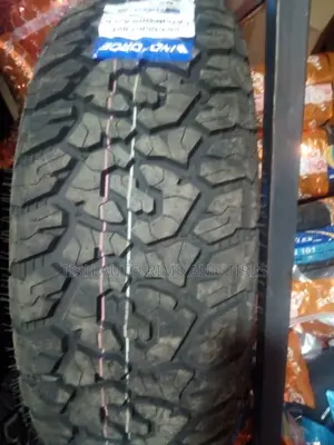 265/65r17 Windforce a/T