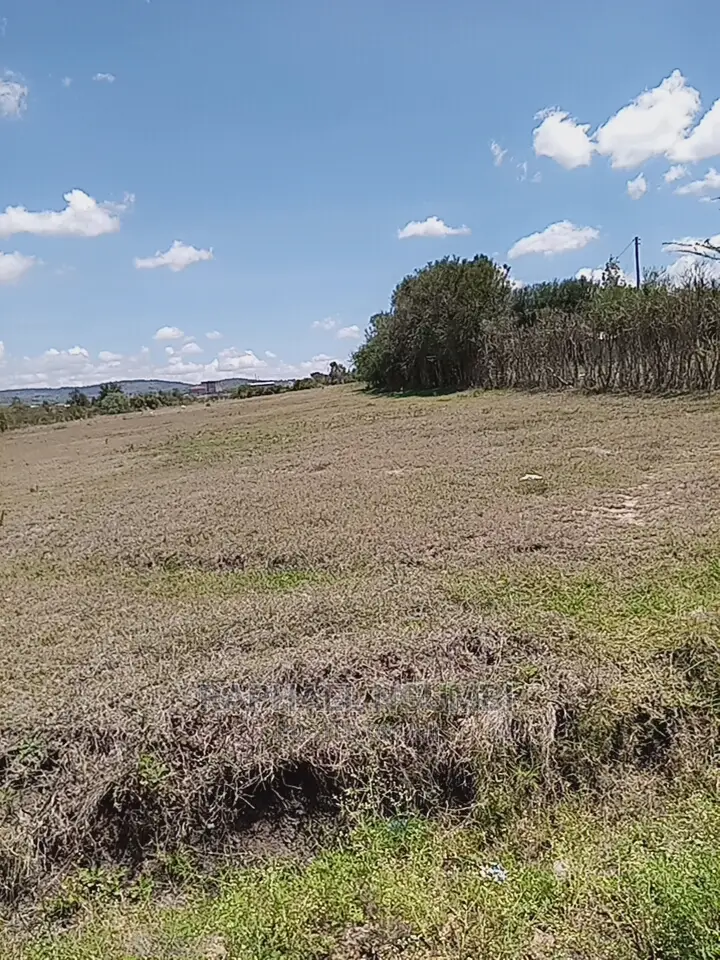 1 Acre At Kithini / Vota