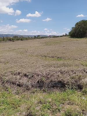 1 Acre At Kithini / Vota - thumbnail 2