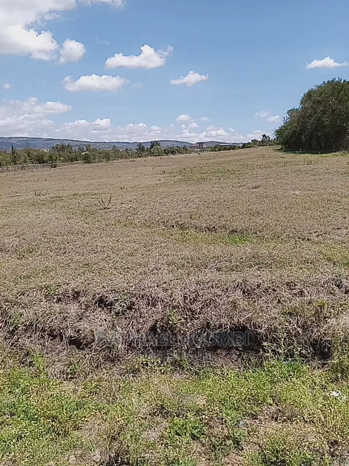 1 Acre At Kithini / Vota