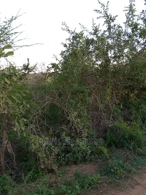 1 Acre At Kithini / Vota