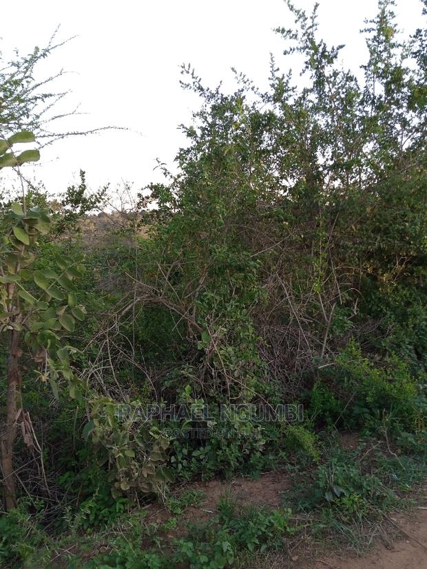 1 Acre At Kithini / Vota - thumbnail 4