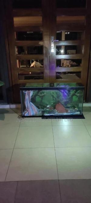 Aquarium Custom Made and Delivered - thumbnail 2