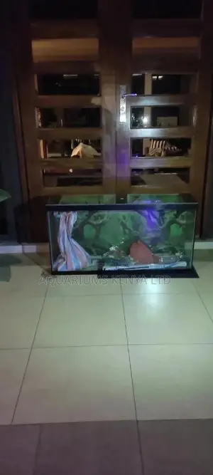 Aquarium Custom Made and Delivered