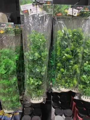 Unique Aquarium Plants