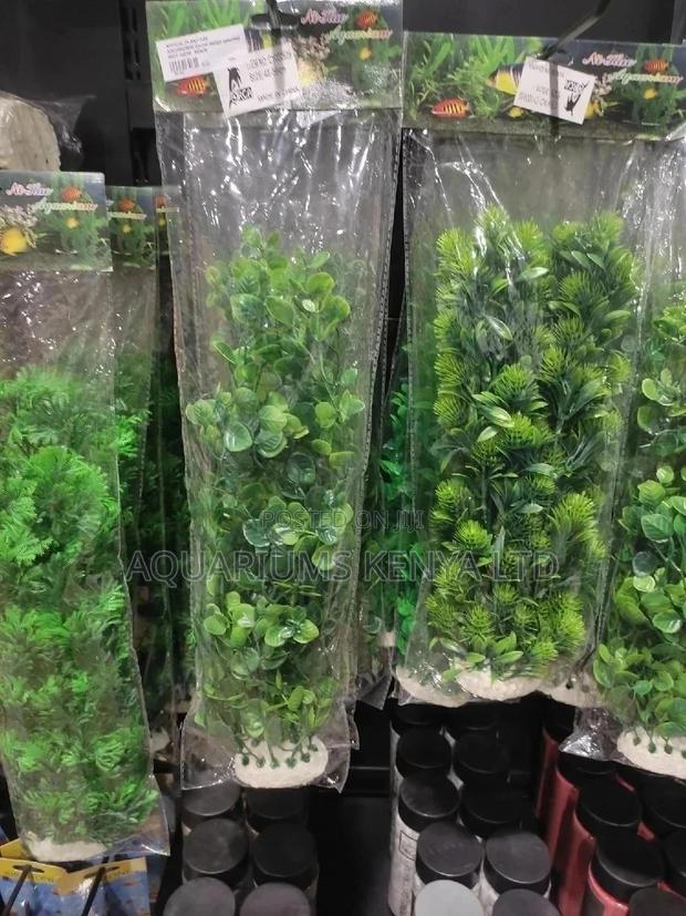 Unique Aquarium Plants - main view