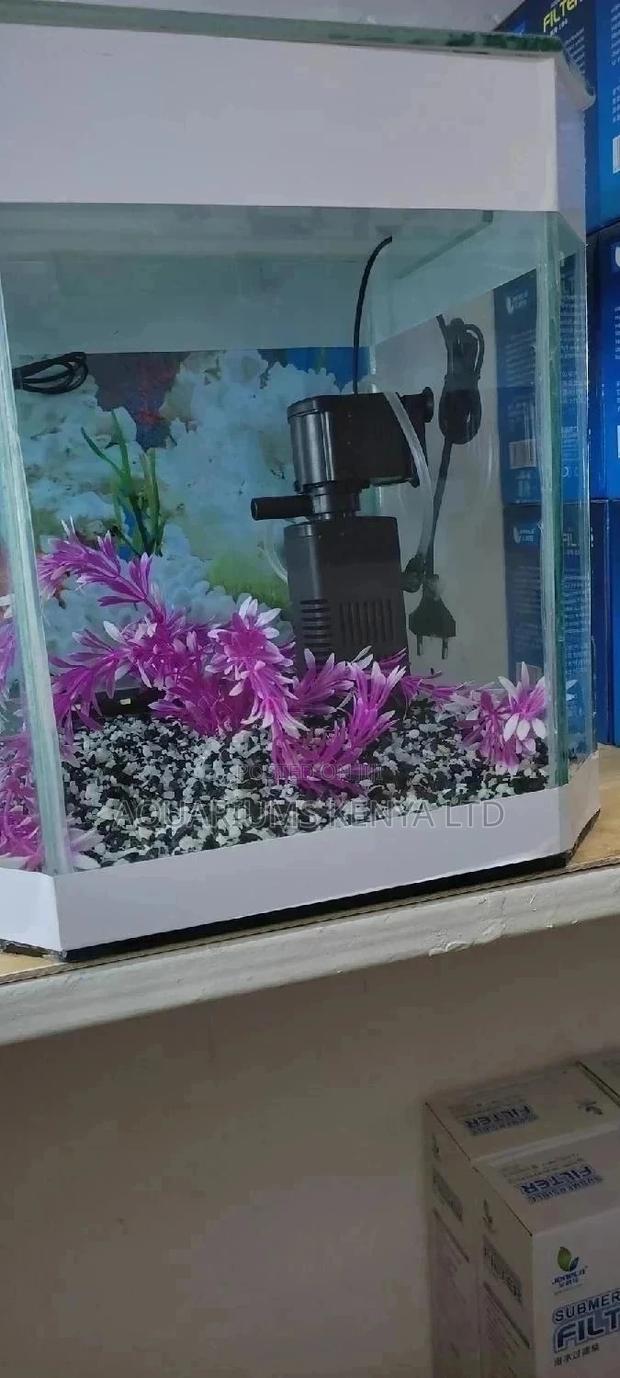Small Aquarium, With Pink Plant - main view