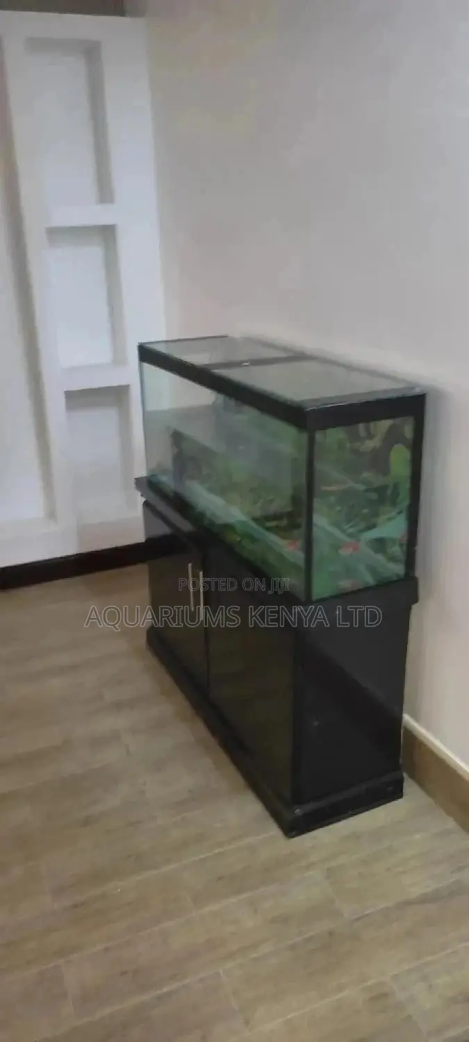 Standard Professional Aquariums, Aquarium From Aquarist