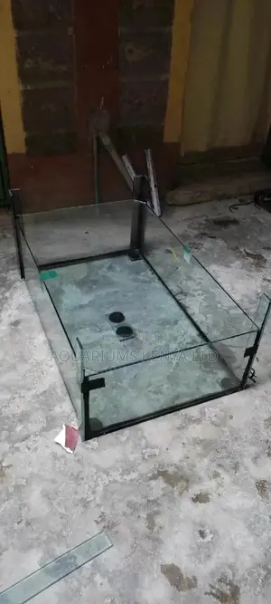 Aquarium Repair and Maintenance Services
