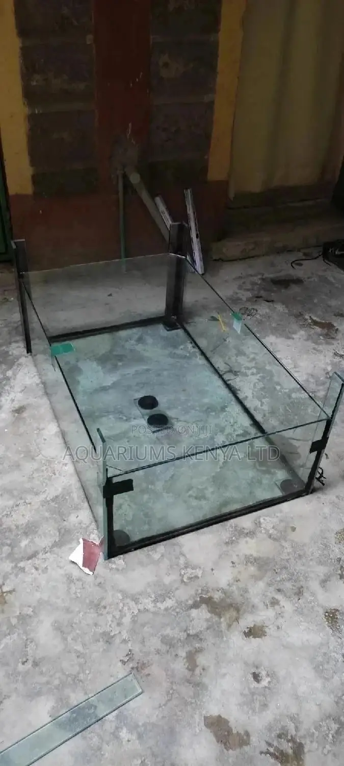 Aquarium Repair and Maintenance Services