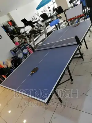New Arrivals Table Tennis
