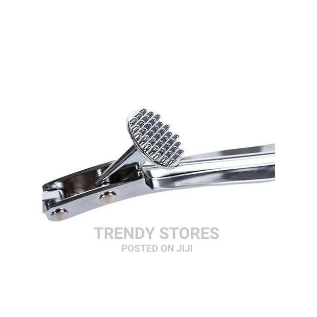 Garlic Ginger Crusher - main view