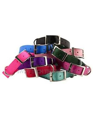 Dog-Collar - thumbnail 2