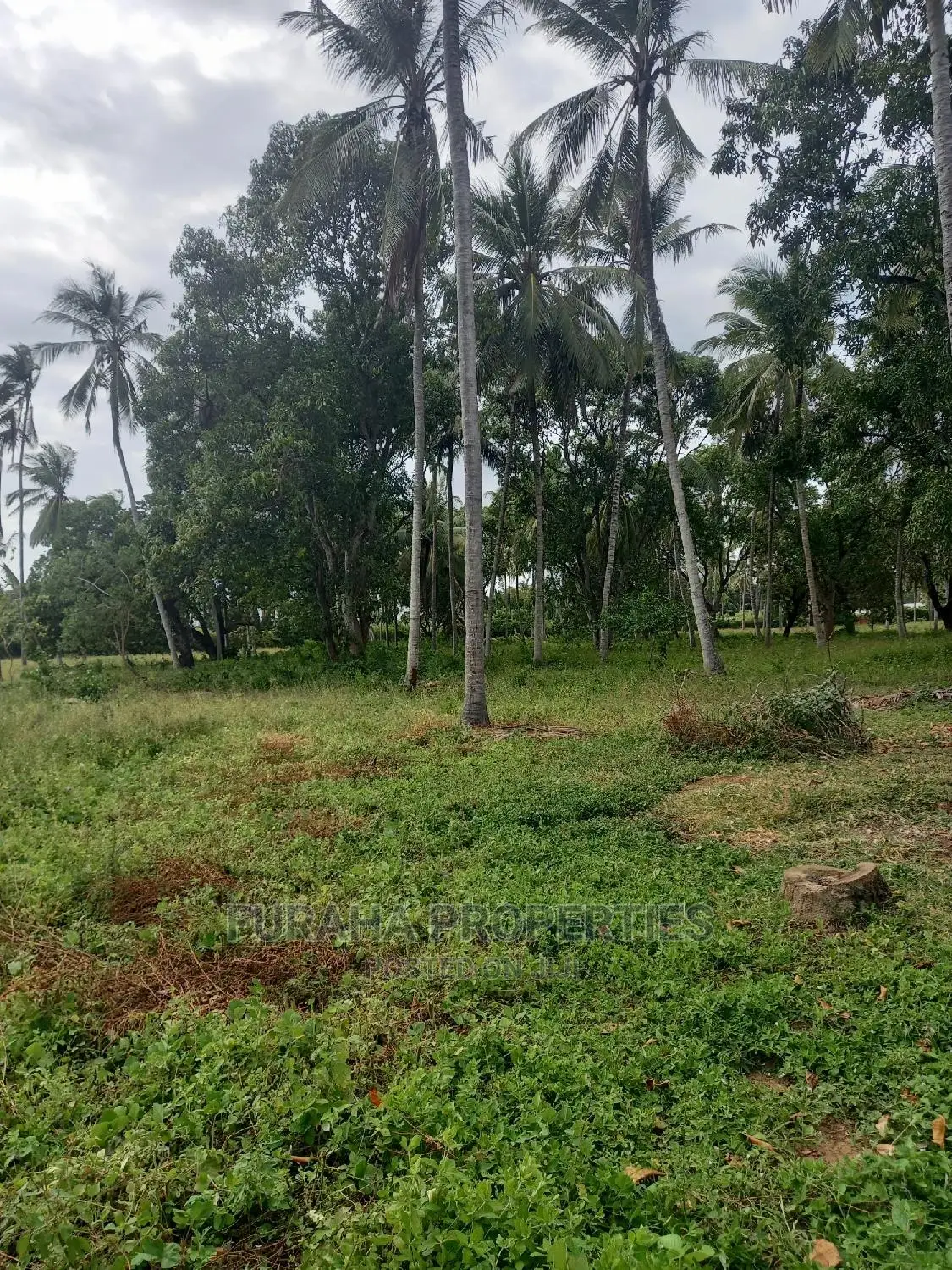 For Sale Prime 8 Acres Land Mtwapa