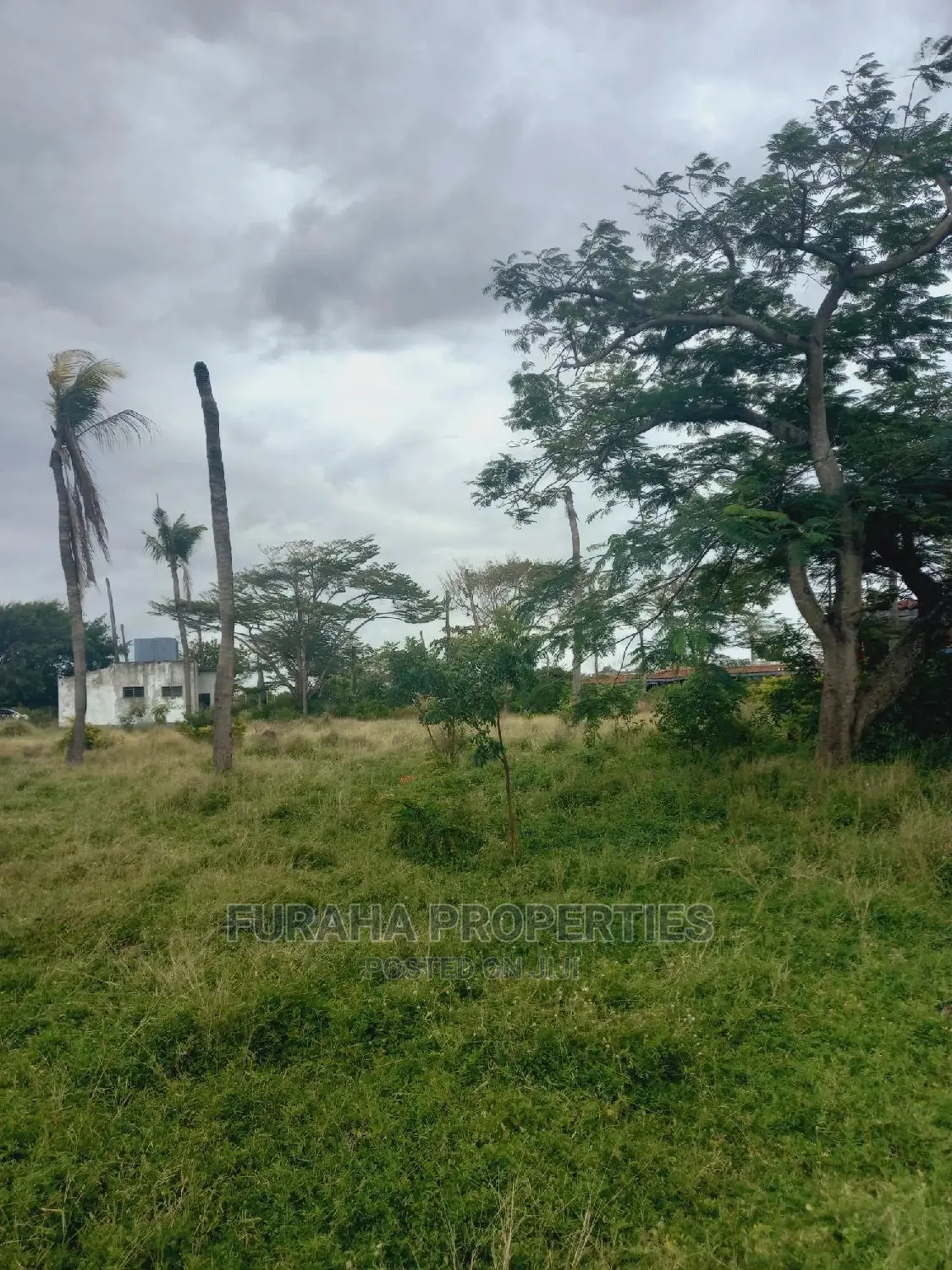 For Sale Prime 8 Acres Land Mtwapa