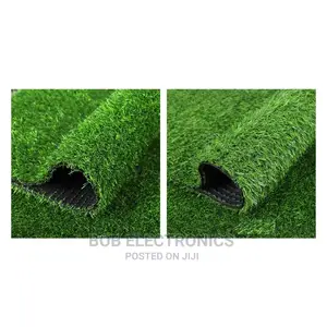 Turf Grass