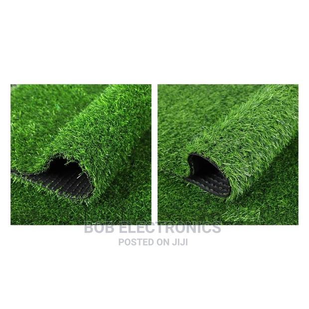 Turf Grass