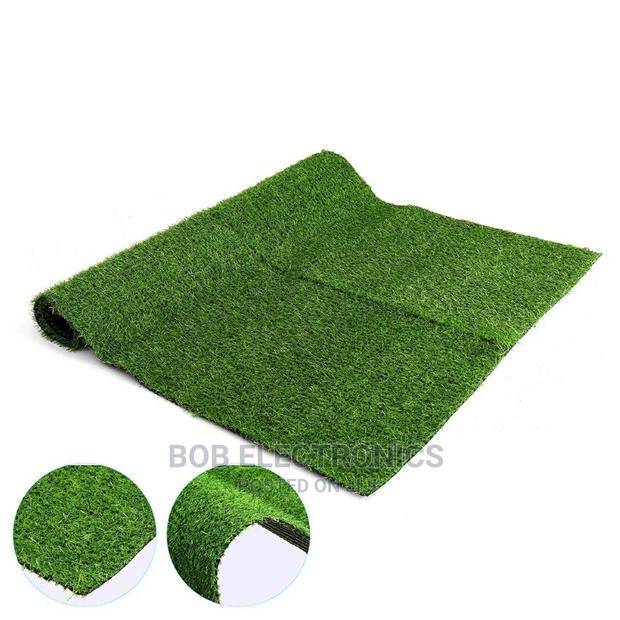 Best Quality Turf Grass