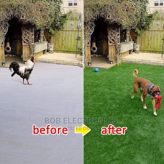 Best Quality Turf Grass - thumbnail 2
