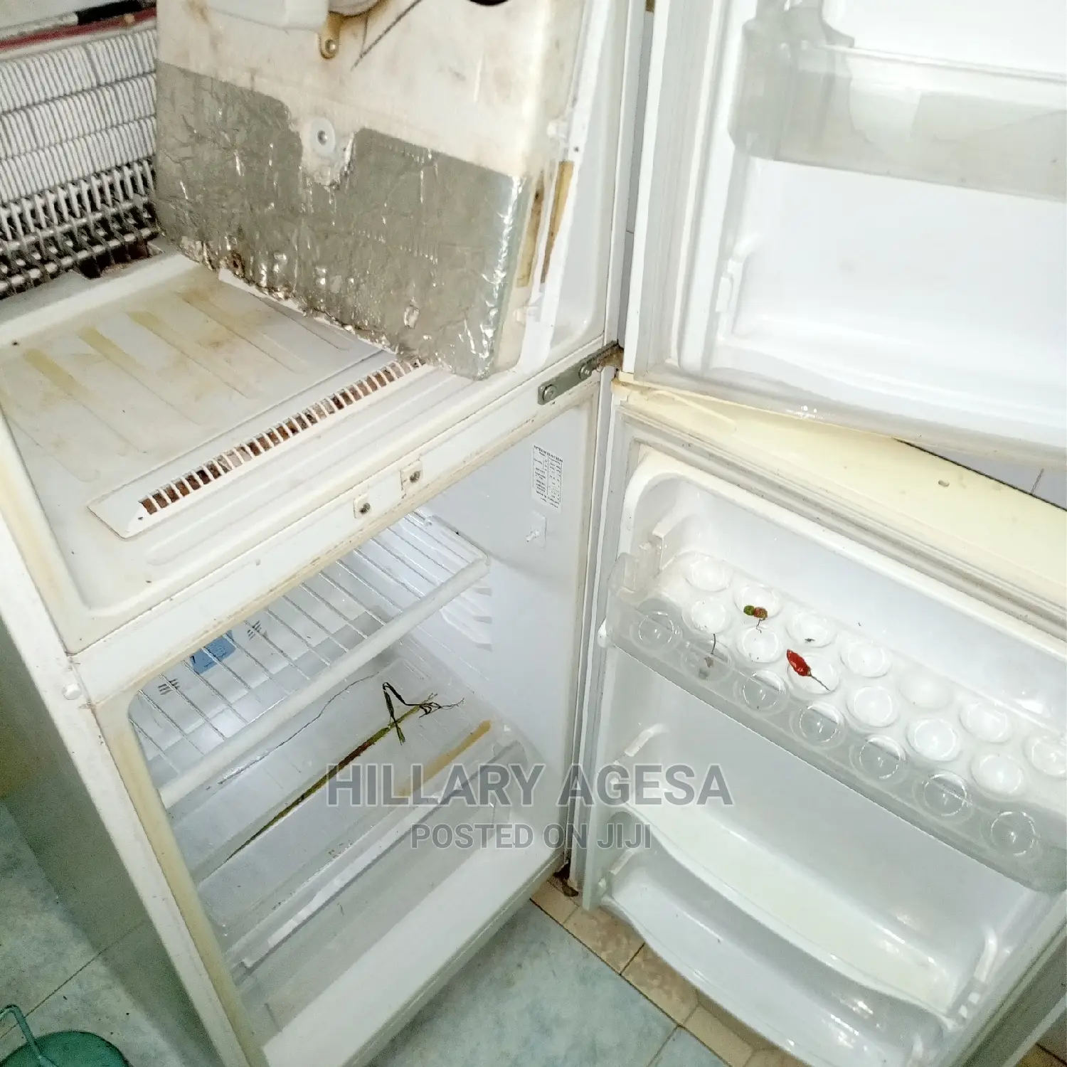 Fridge Repair Services