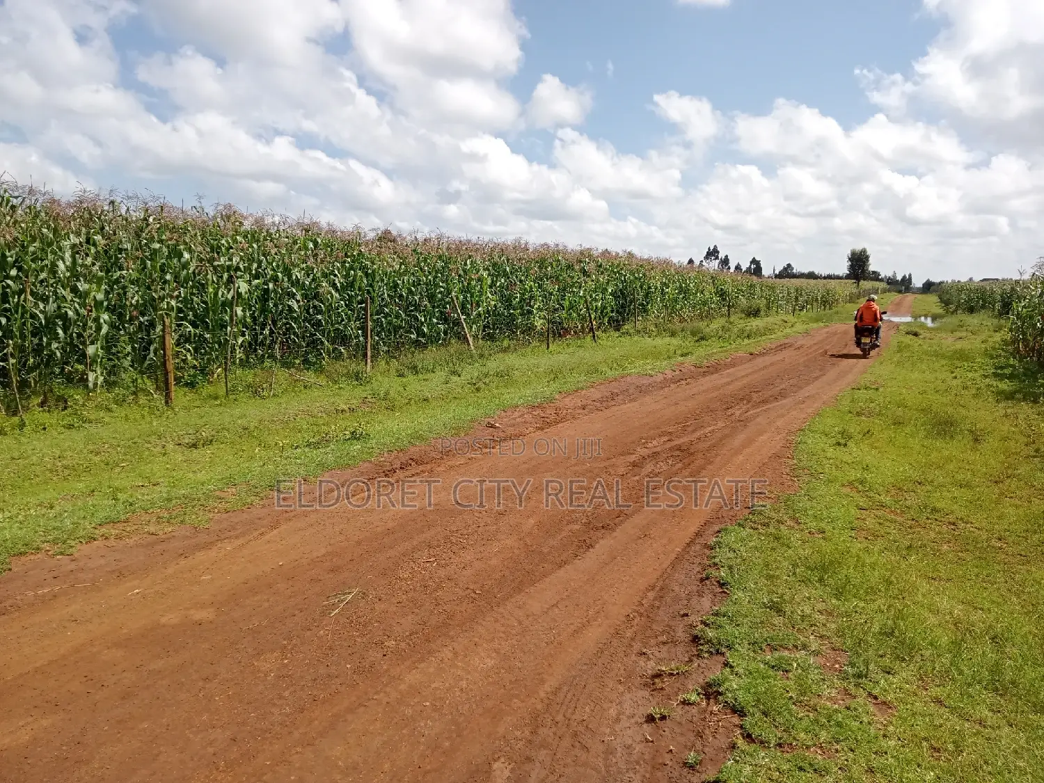 1/4 Plots Kiplombe With Title