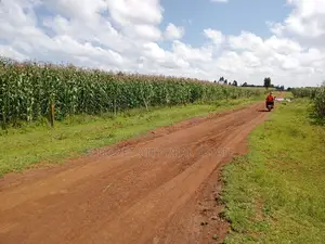 1/4 Plots Kiplombe With Title