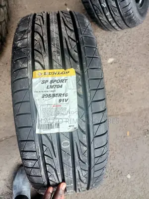 205/55r16 Dunlop