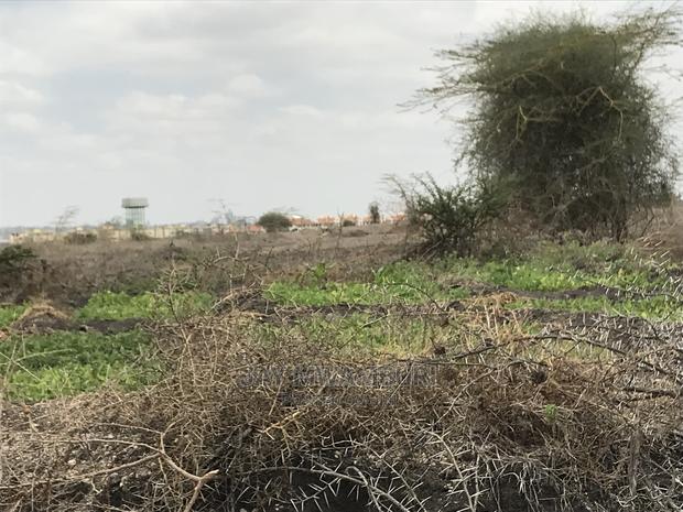 10 Acre Arthi River - thumbnail 5