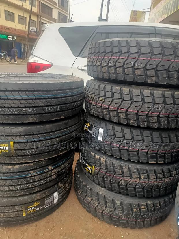 265/70r19.5 Black Lion