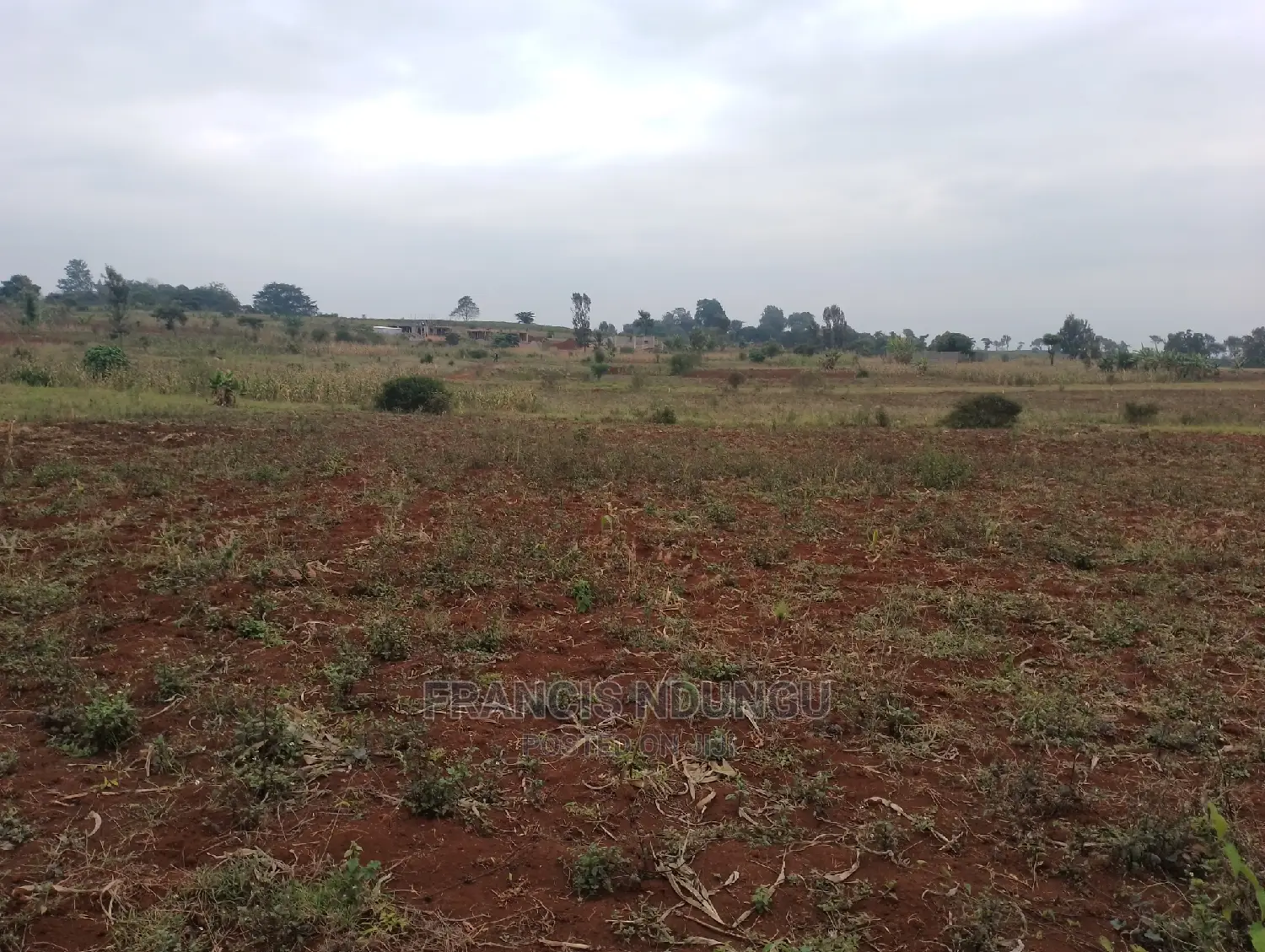 Residential Plots for Sale Matrofi Estate Near Migaa Estate