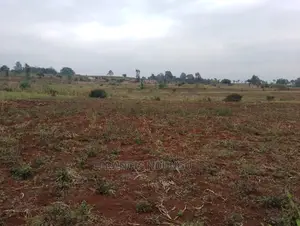 Residential Plots for Sale Matrofi Estate Near Migaa Estate