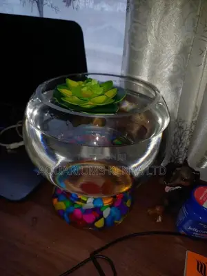 Plastic Fish Bowl 2L