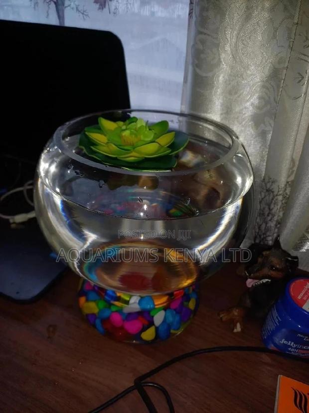 Plastic Fish Bowl 2L - main view